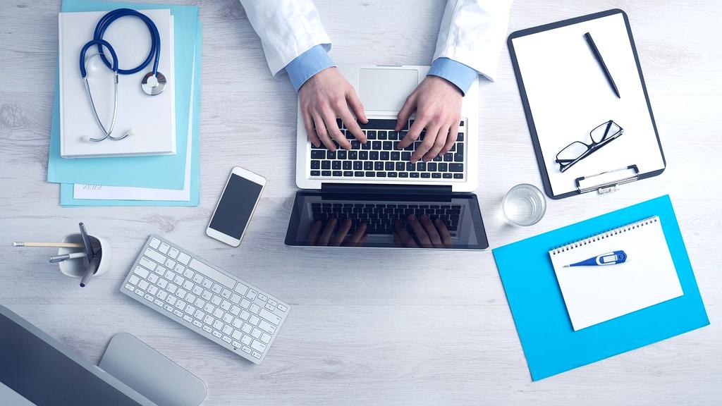 Person using laptop with organized desk and plants